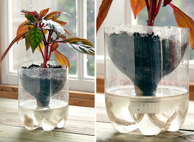 Repurposing Plastic Bottles