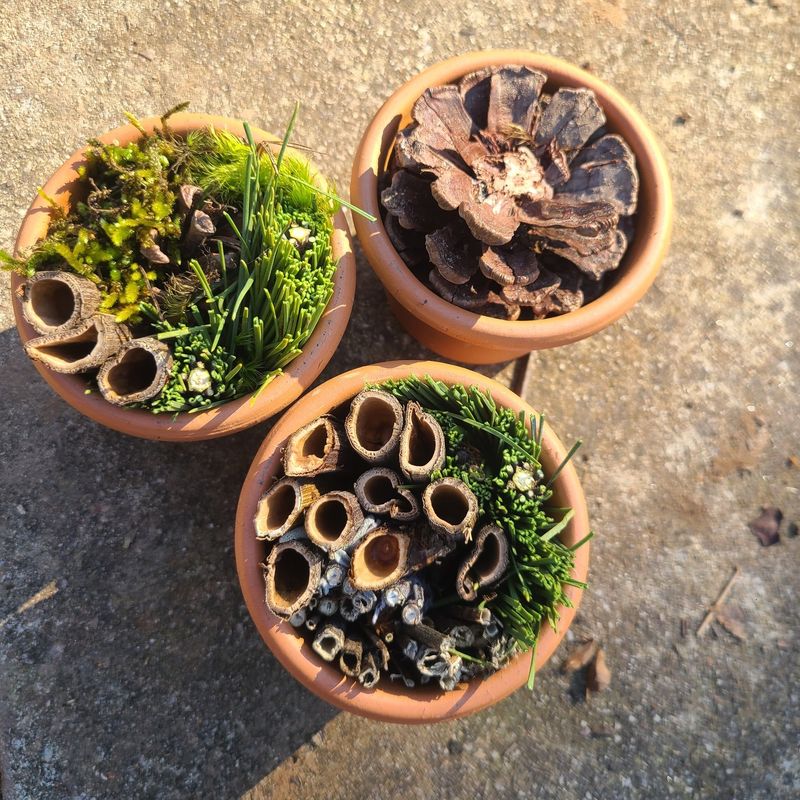 Integrate Clay Pots