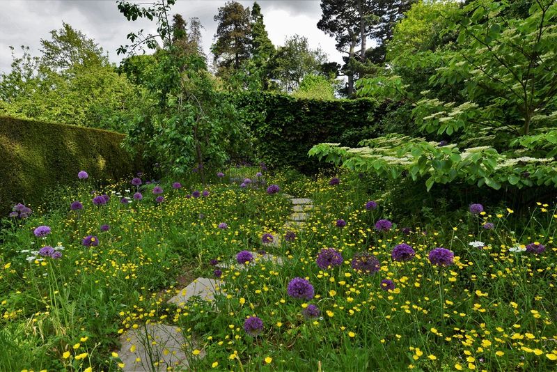 Promote Biodiversity