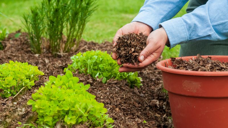 Improve Soil Health