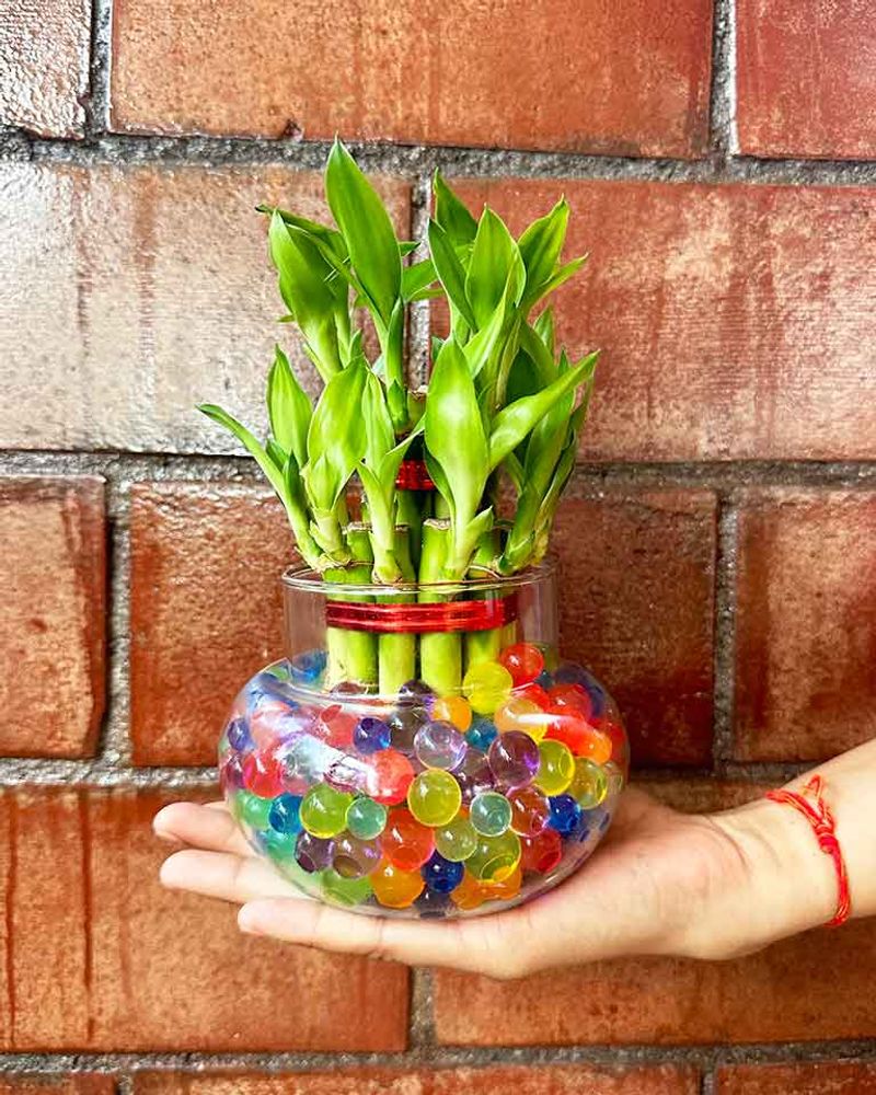 Innovative Use of Hydrogel Beads