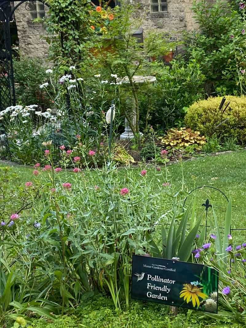 Wildlife-Friendly Gardening