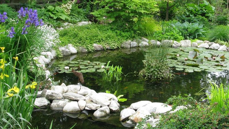 Incorporate Water Features