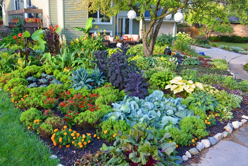 Edible Garden with Veggies and Flowers