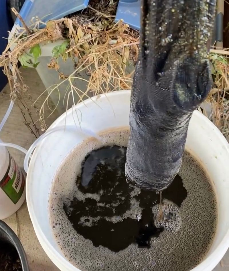 Compost Tea Varieties