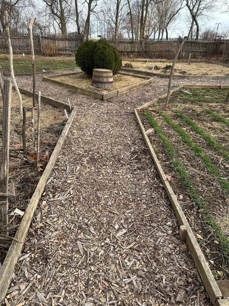 Mulch Pathways