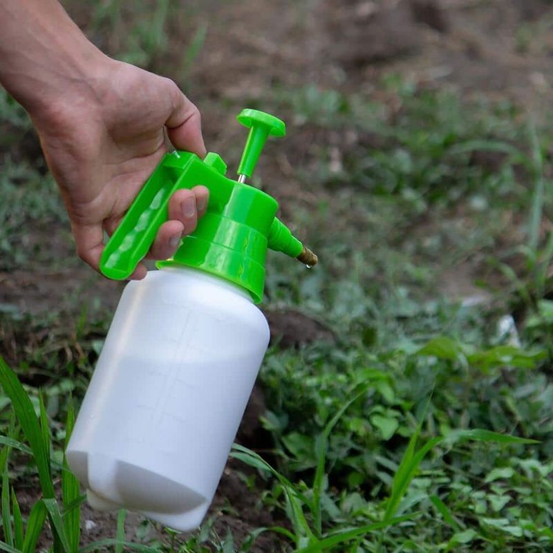 Herbicide-Free Spot Treatment