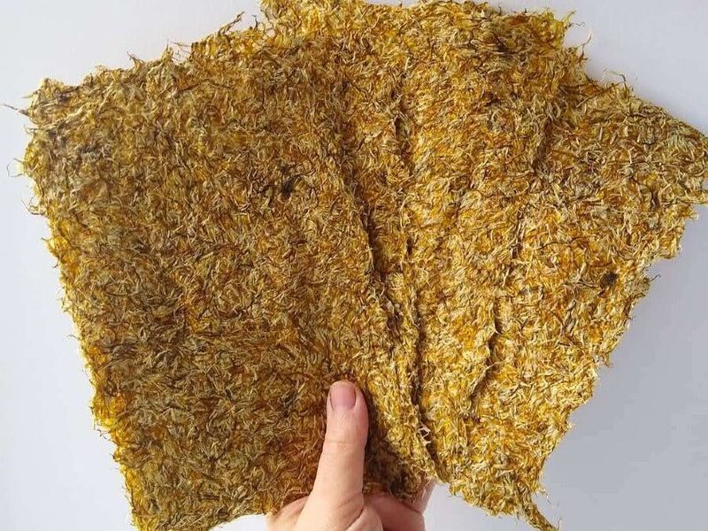 Dandelion Craft Paper