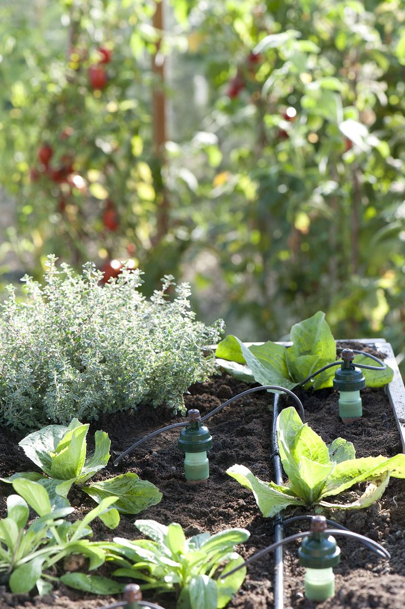 Automatic Watering Systems