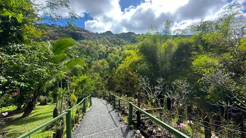 Garden of the Sleeping Giant, Fiji