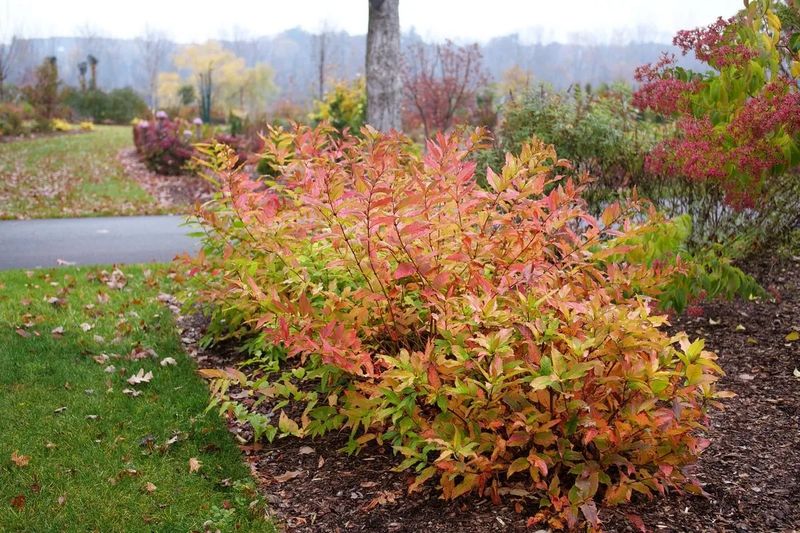 Implement Seasonal Changes