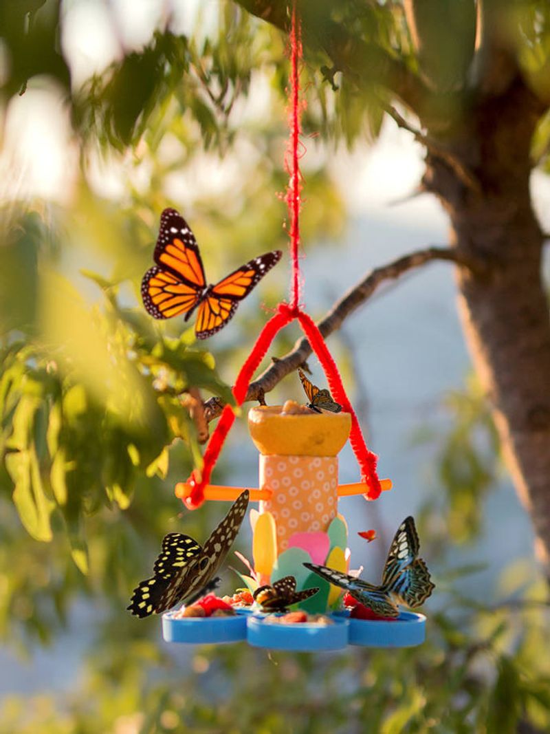 Making a Butterfly Feeder