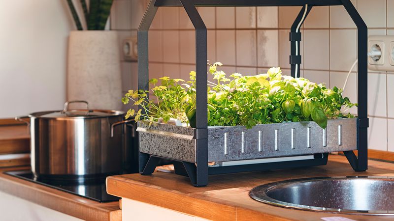 Integrating a Hydroponic System