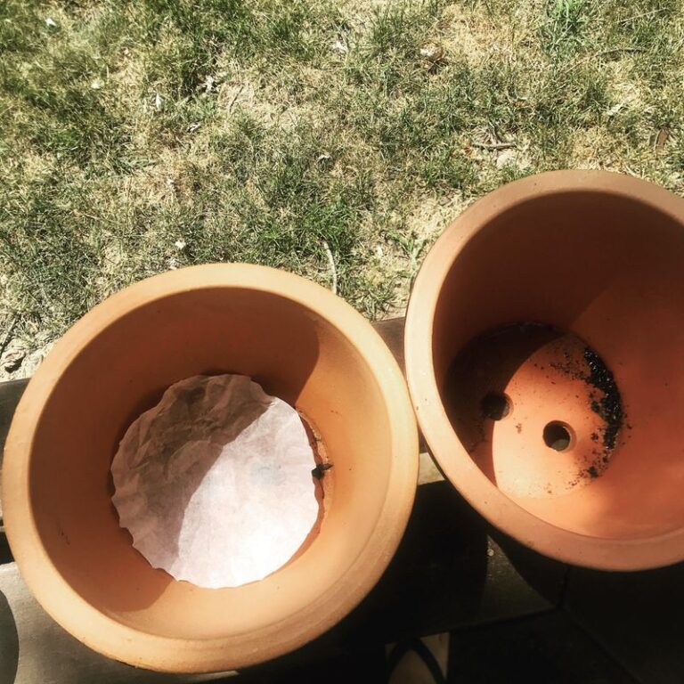 Should You Put Rocks at the Bottom of a Planter? Plant Experts Say Skip ...