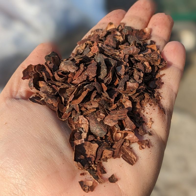 Cocoa Hulls
