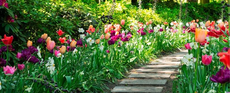 Early Spring Surprise