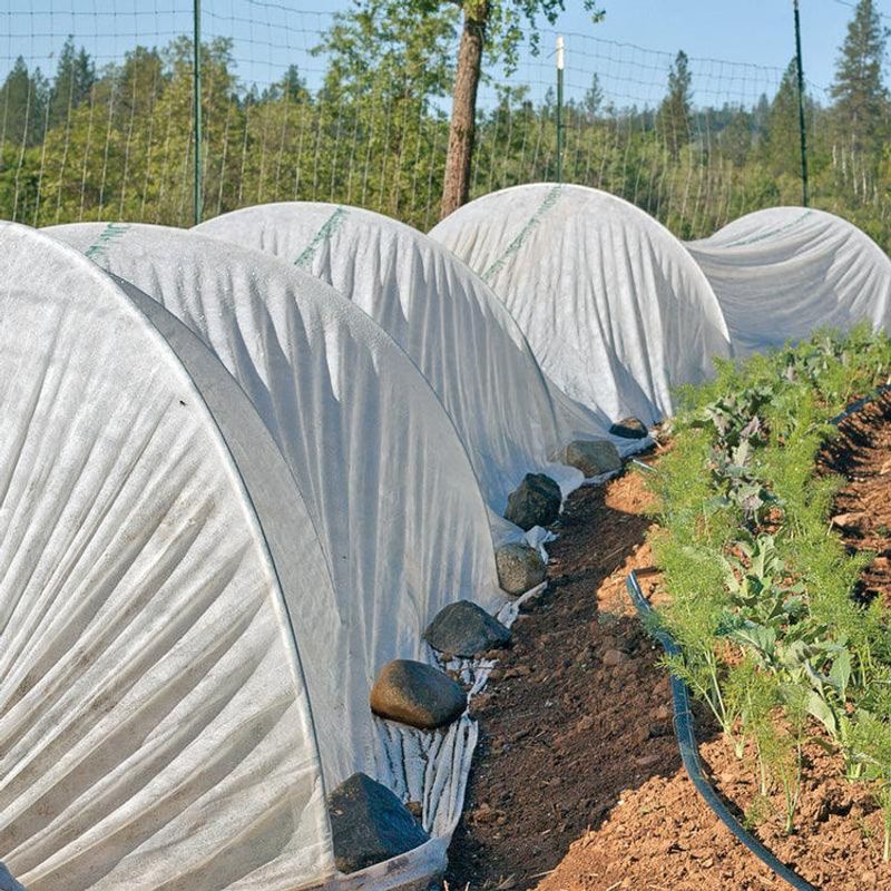 Construct Row Covers