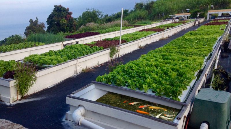 Aquaponics Integration