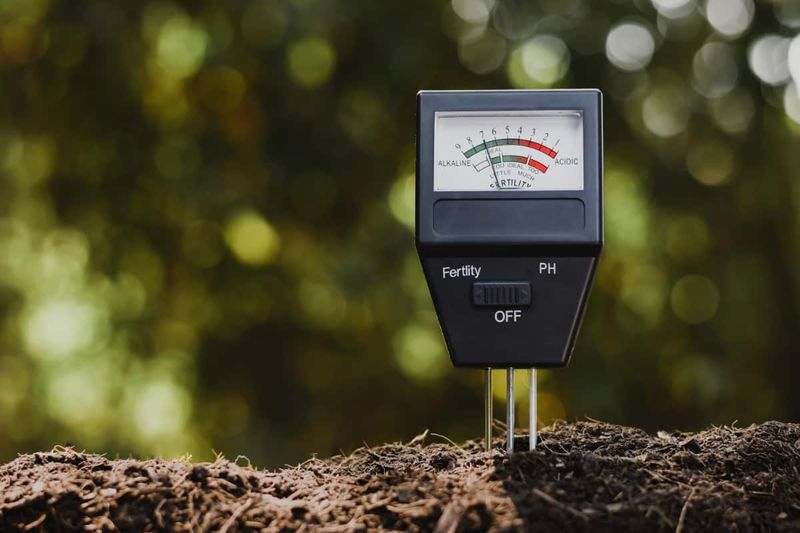 Ensure Proper Soil pH Balance