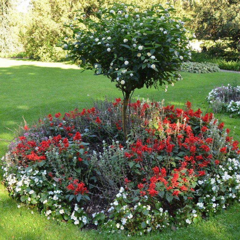 Seasonal Display Showcase