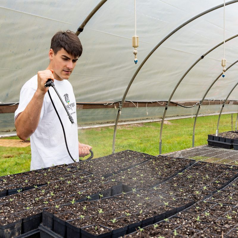 Advanced Techniques and Innovations