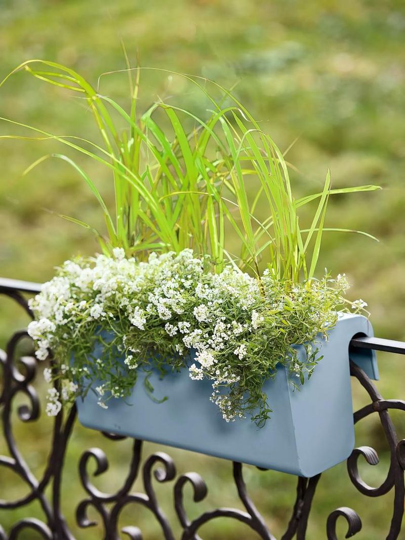 Self-Watering Planters
