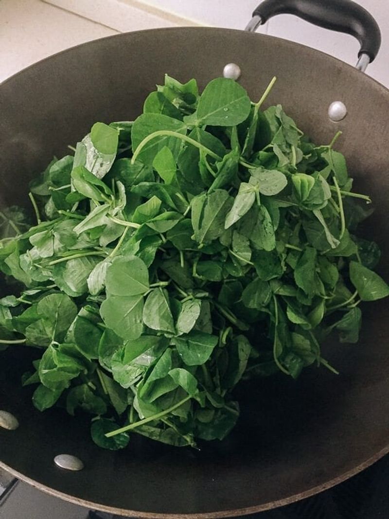 Clover Salad Delight