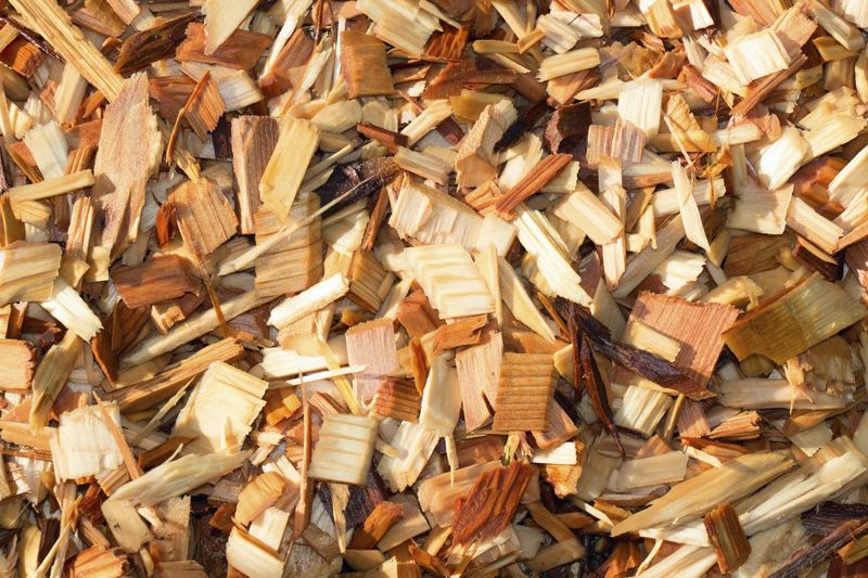 Cedar Shavings