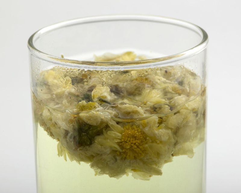 Chrysanthemum Extract