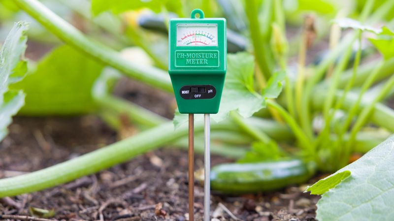 Ignoring Soil pH