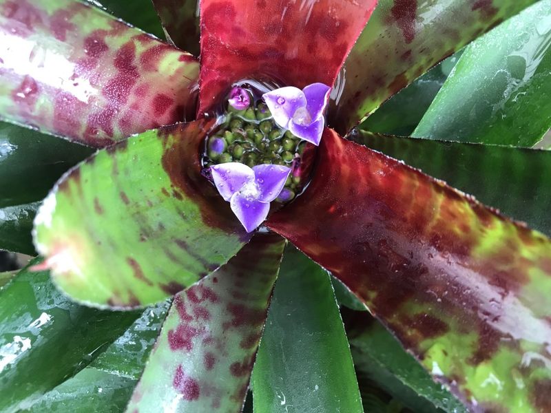 Home for Microorganisms