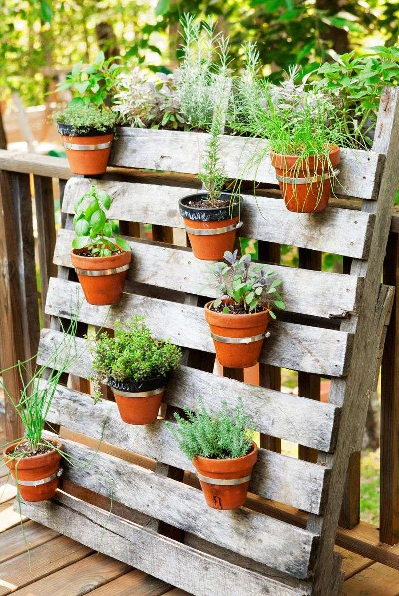 Succulent Step Ladder