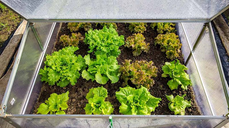 Extended Growing Season