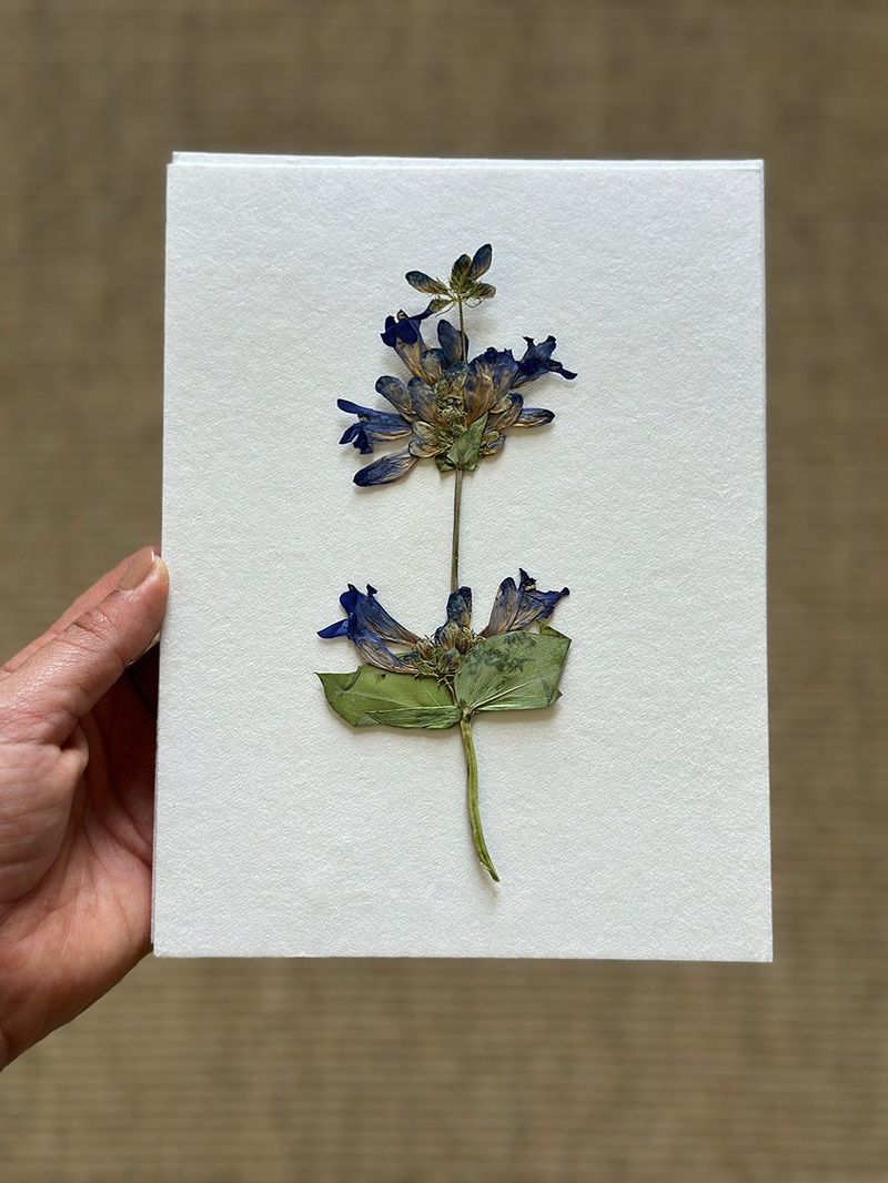Pressed Flower Art