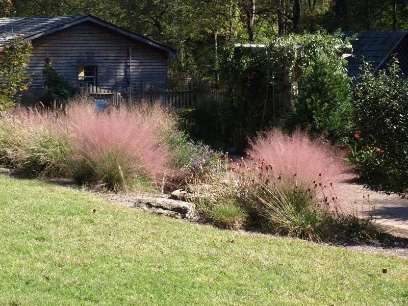 Integrate Native Grass Species