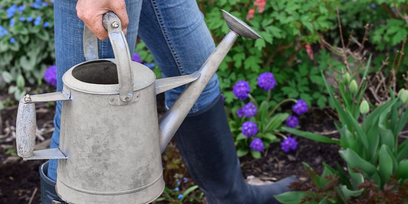 Water Deeply and Less Frequently