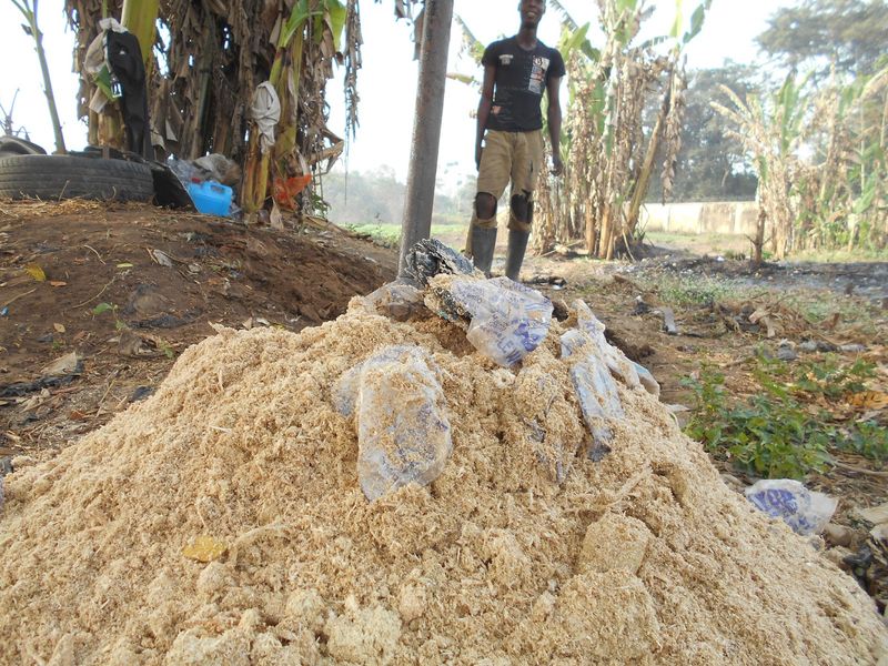 Sawdust (Untreated Wood Shavings)