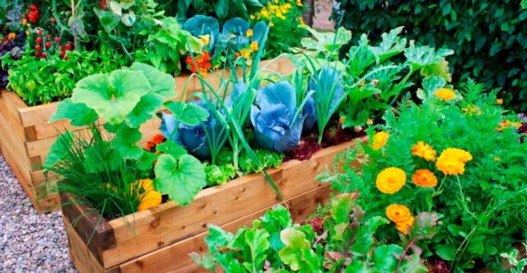 Frugal Gardening: How to Grow a Beautiful Spring Garden for Pennies