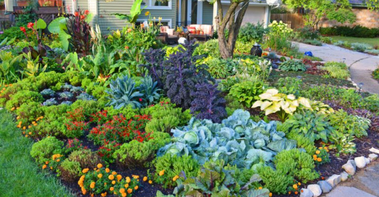 Full Sun Garden: 10 Inspiring Ideas to Make the Most of Every Ray