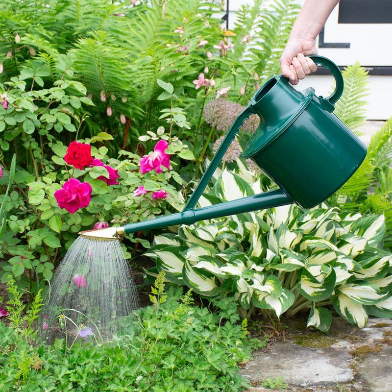 Watering Can