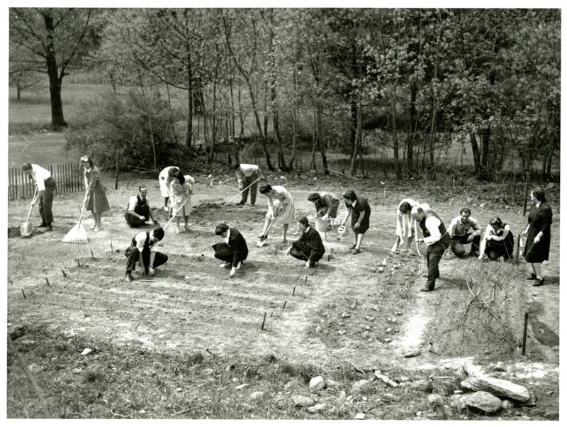 Community Involvement