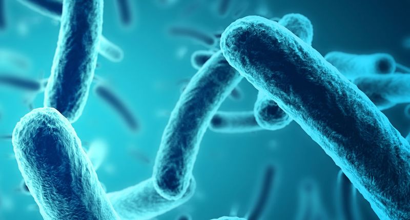 Microbial Compost Inoculant