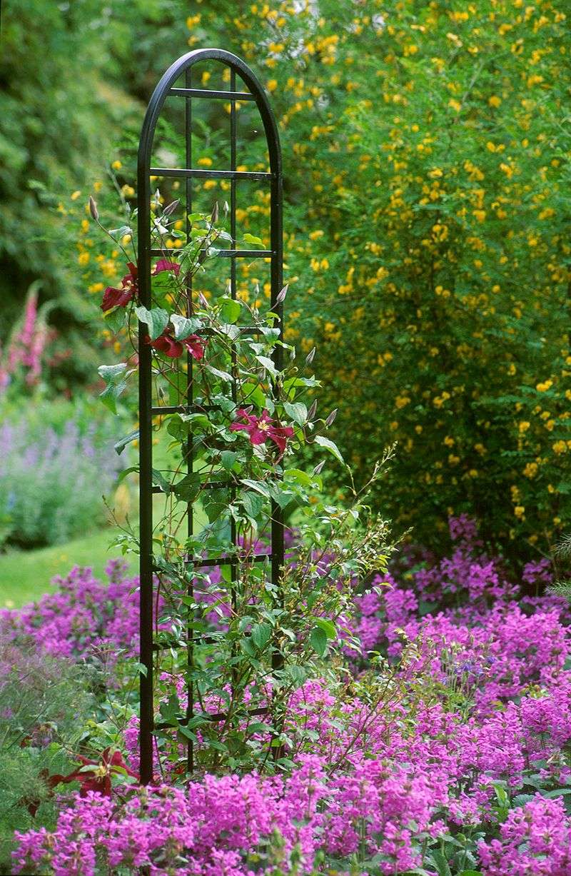Garden Trellis
