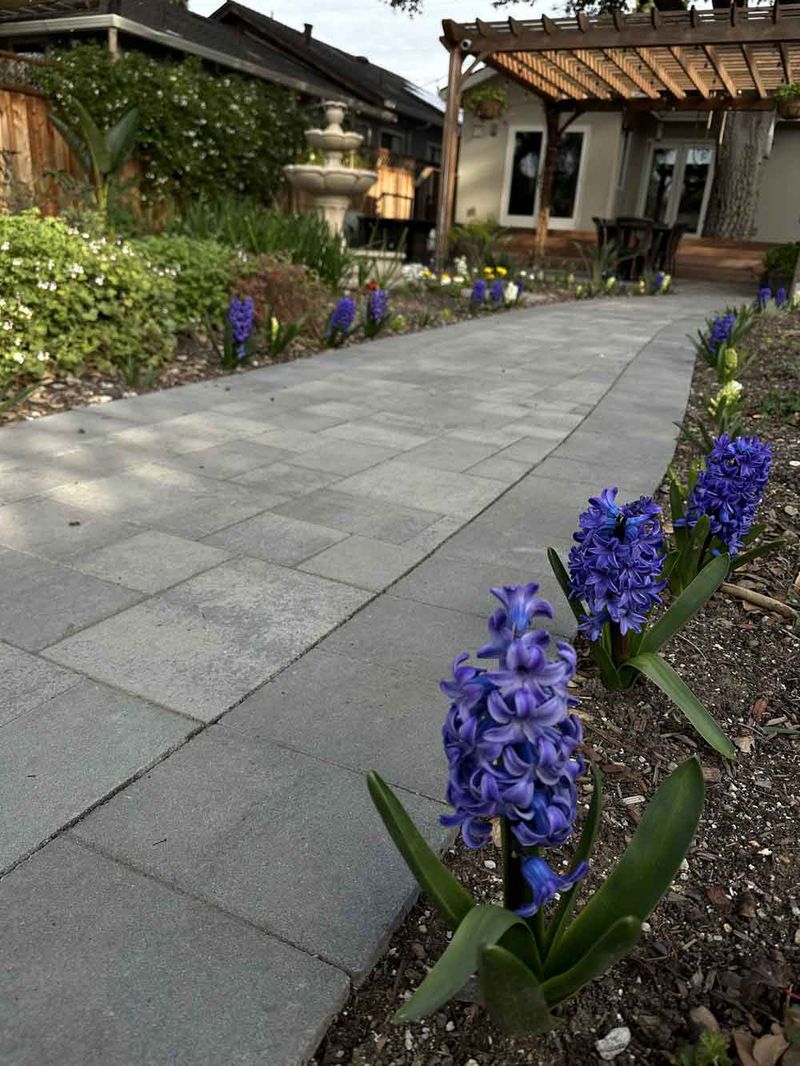 Hyacinth Walkway