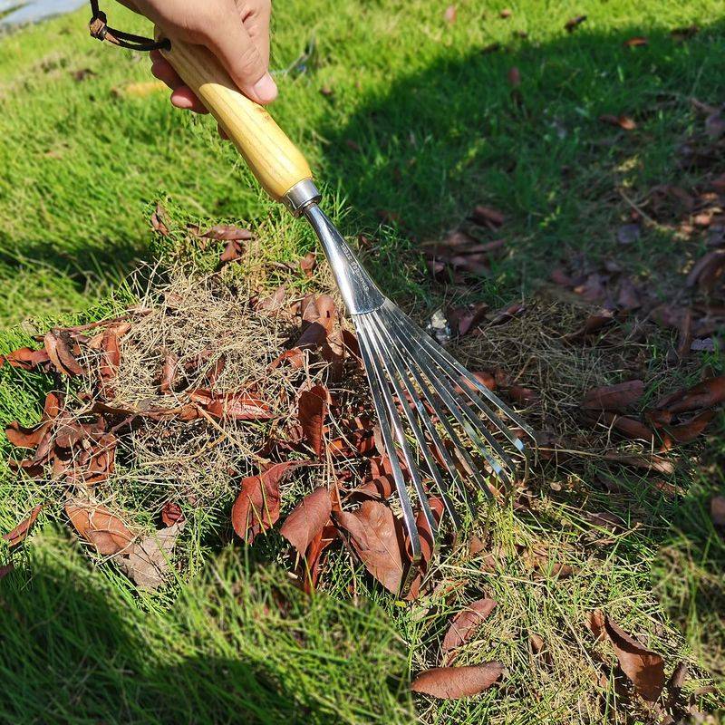 Ergonomic Hand Rake