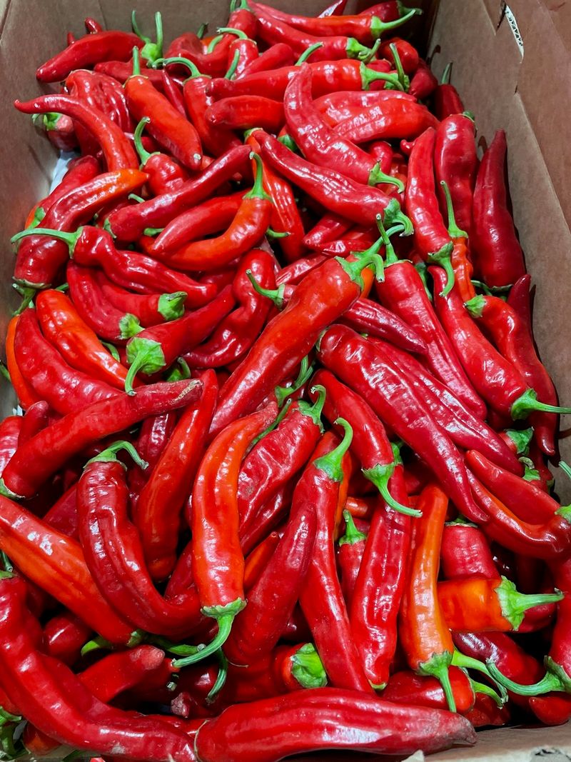 Jimmy Nardello Peppers