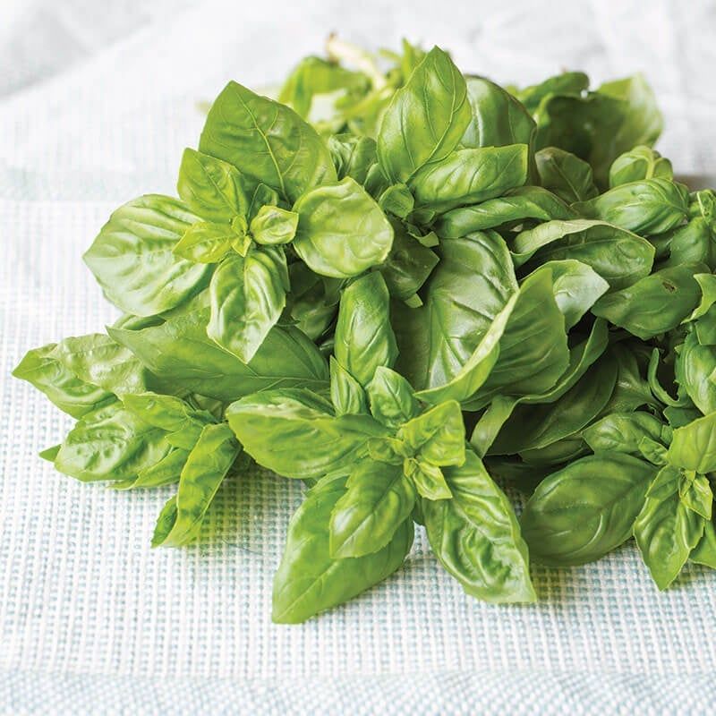 Basil (30-60 days) – Thrives in hot weather; perfect for pesto.