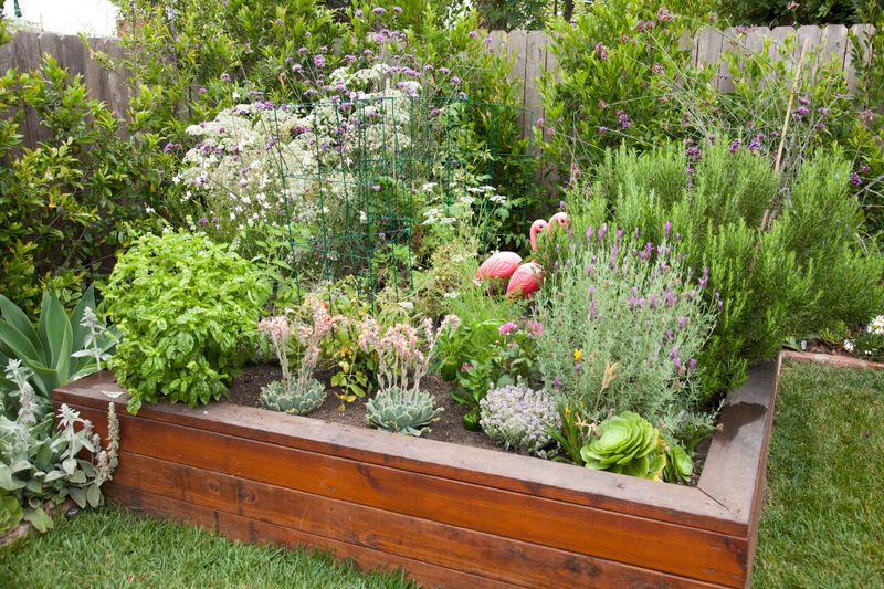 Herb Garden Wonderland