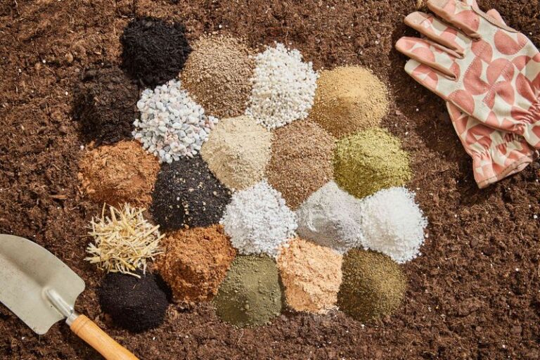 15 Clever Ways to Keep Your Garden Alive During Extreme Heat Waves ...
