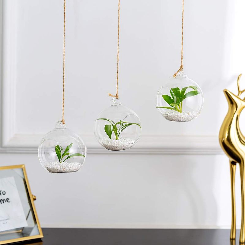 Hanging Glass Terrariums